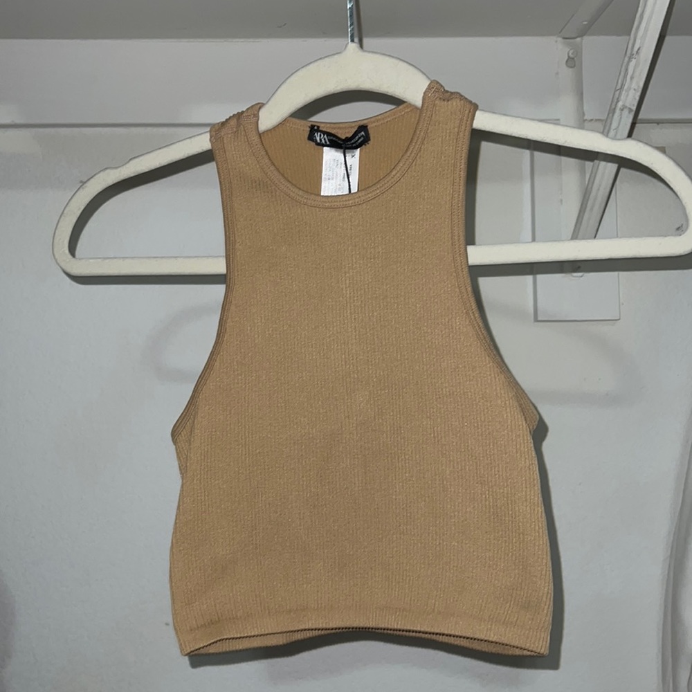 Zara Cropped High Neck Top